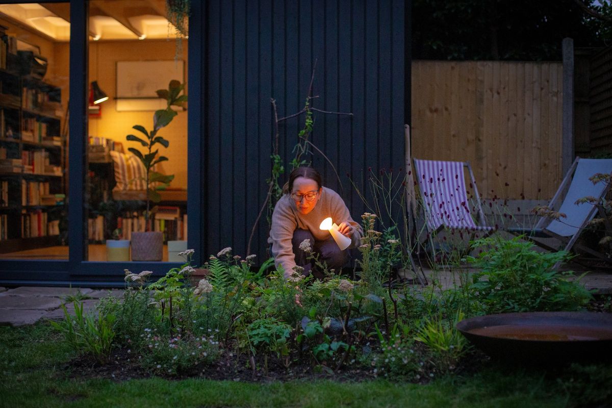 Charred timber garden room office in Leytonstone at dusk, bookshelves lit inside, a man crouching in the planting