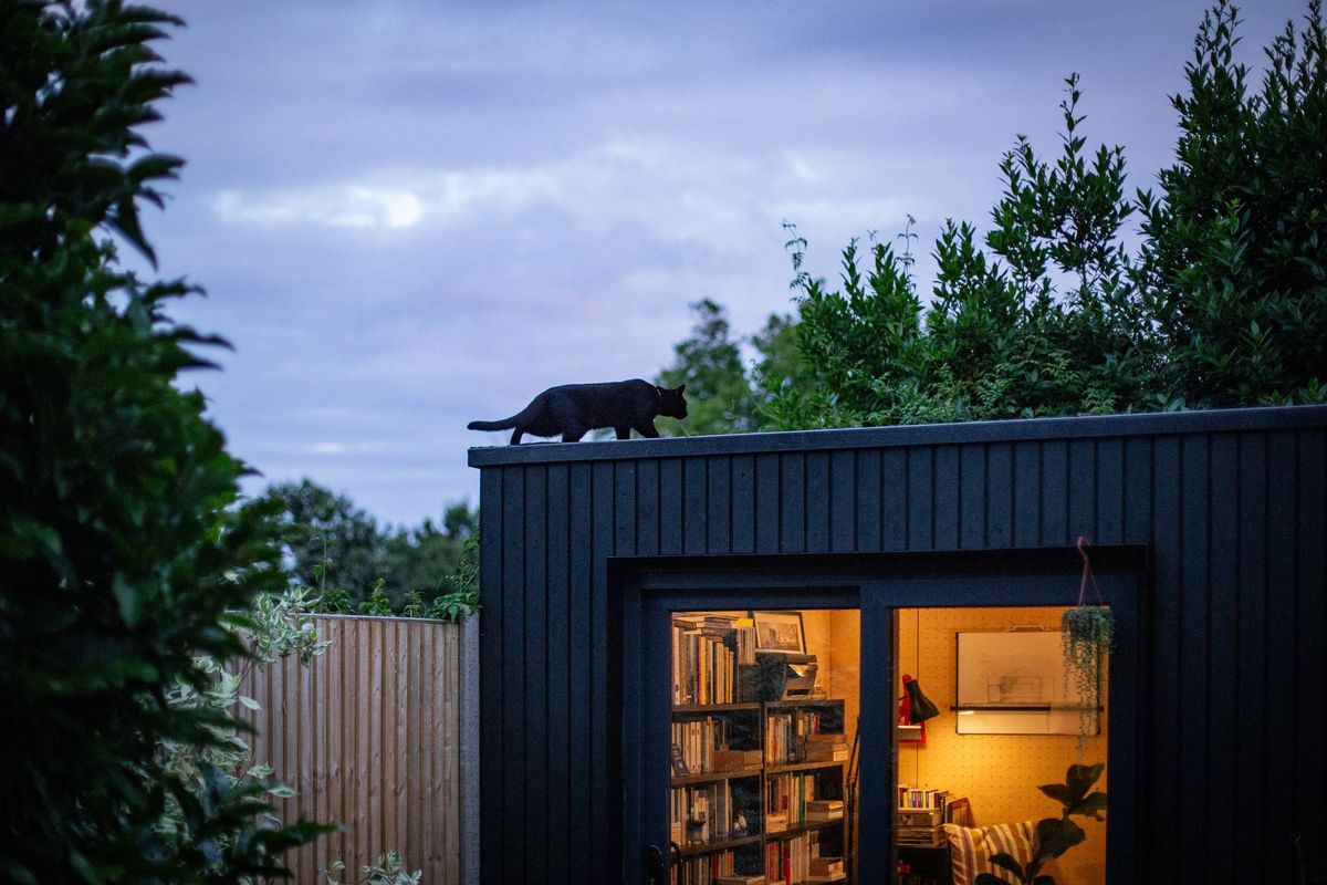 The charred-timber studio lit at dusk, cat on the roof