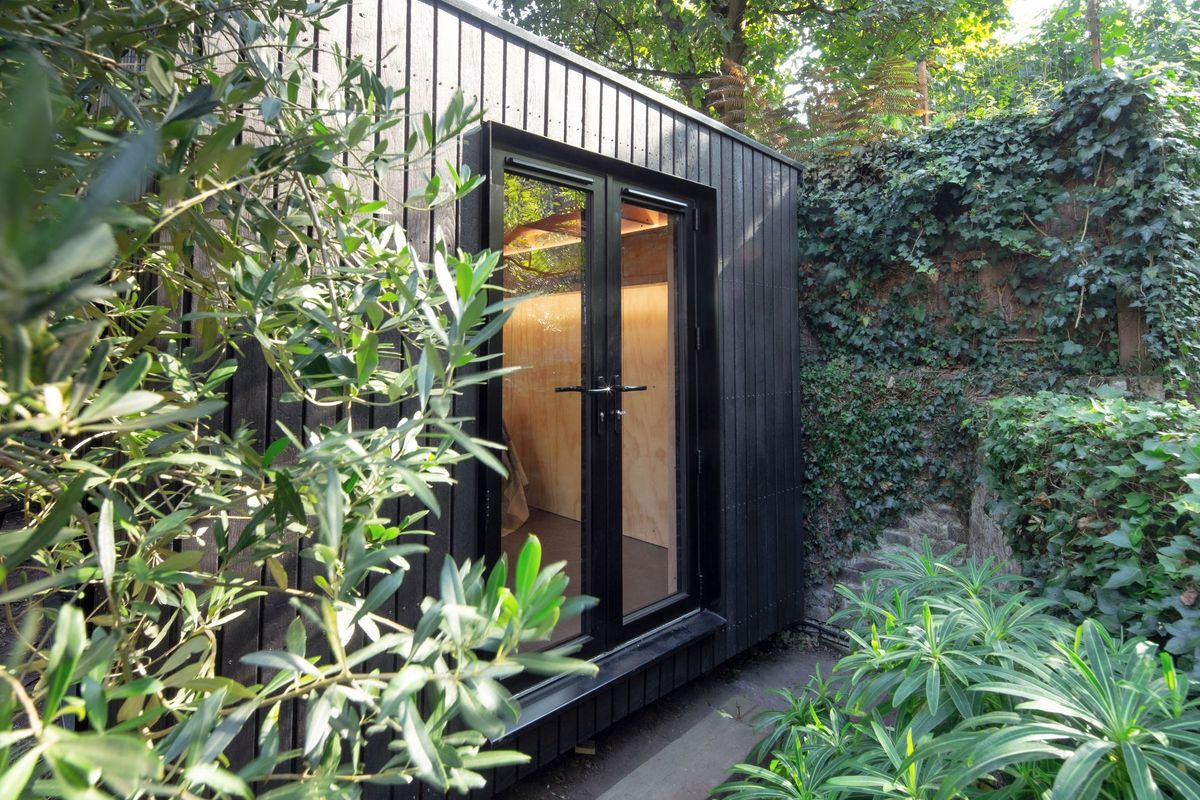 Front doors framed by olive and planting, ivy wall behind