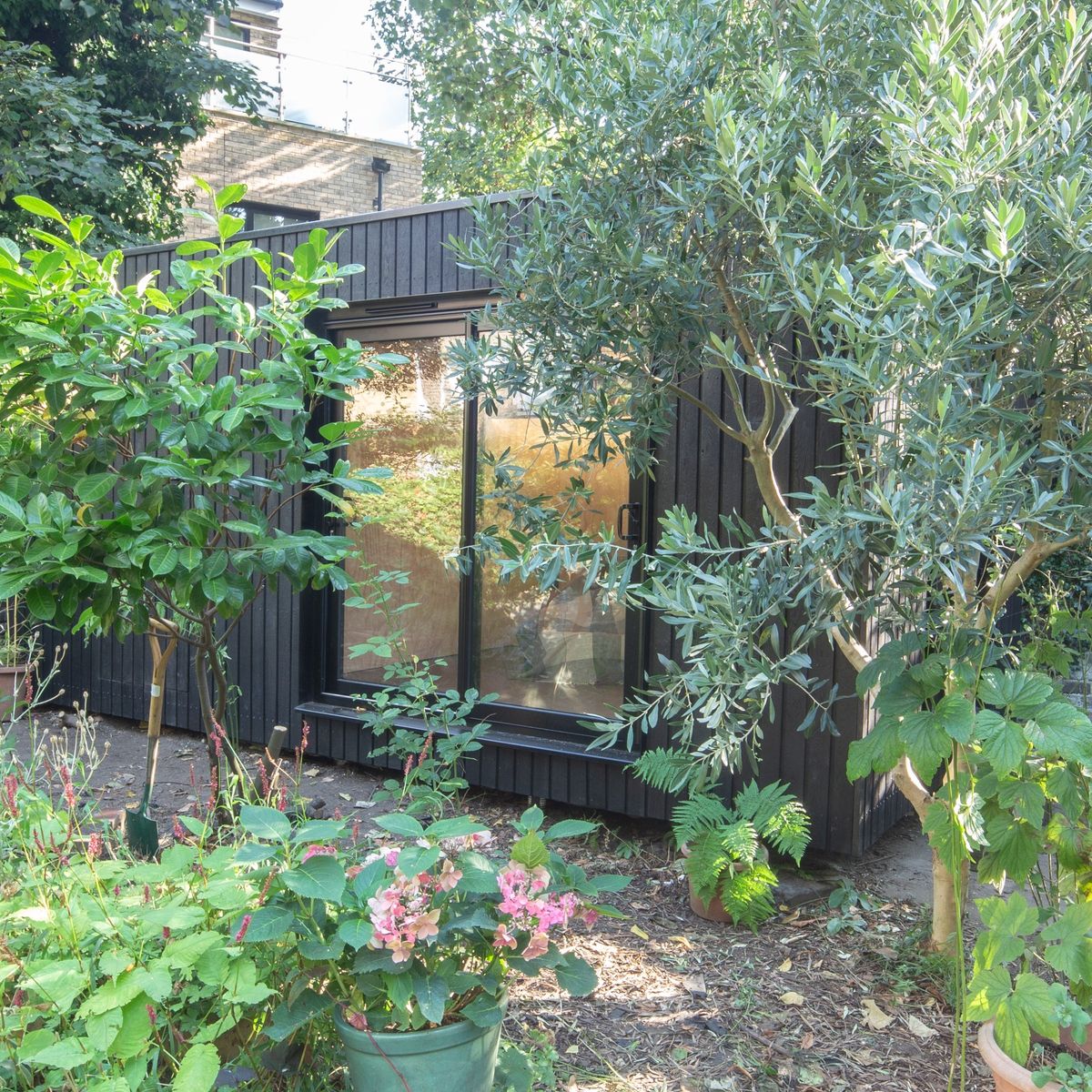 Studio behind planting and a pot of pink flowers