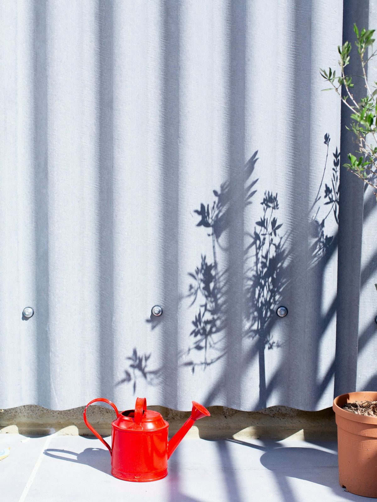 Corrugated cladding with leaf shadows and a red watering can