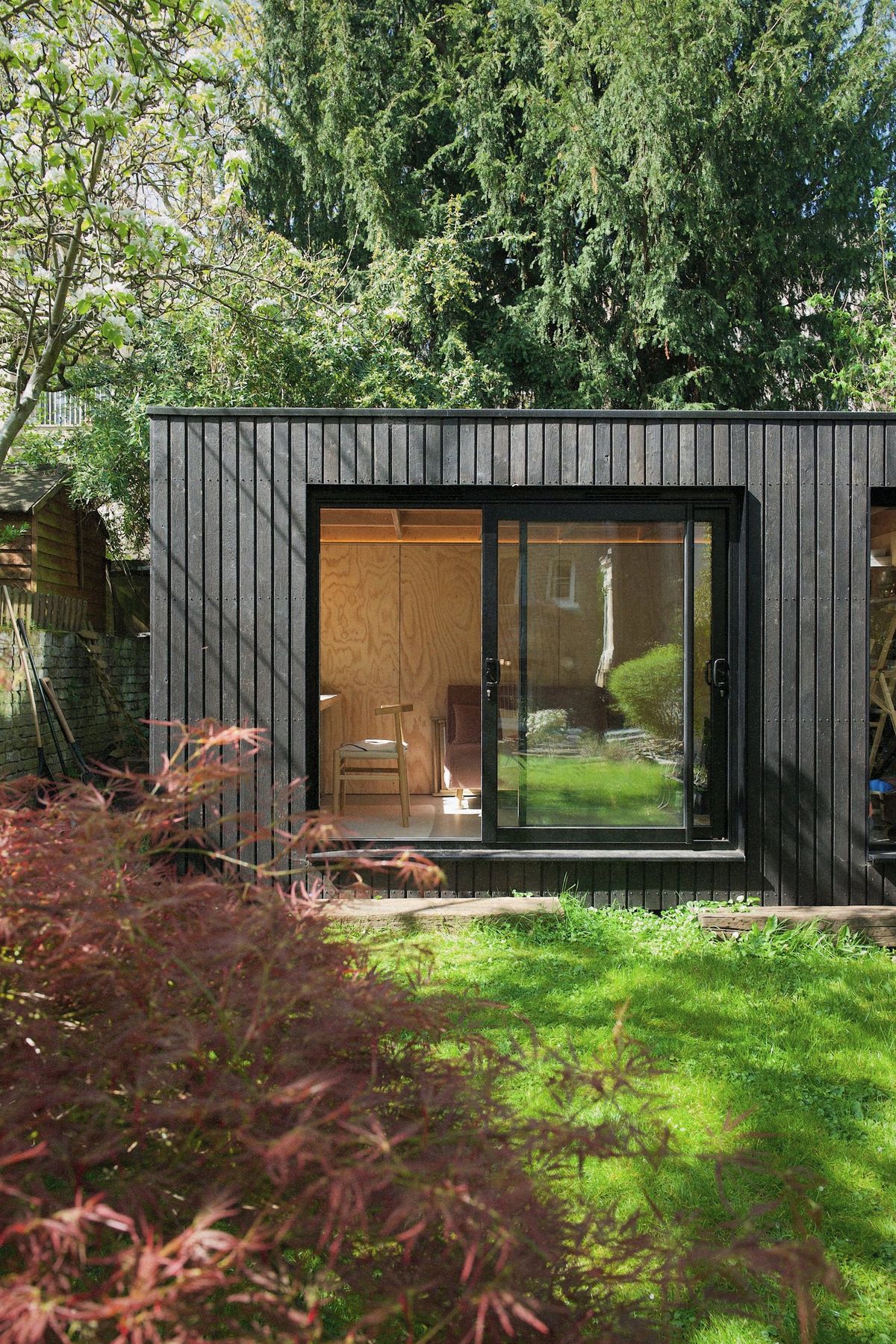 Charred timber 3×5m garden room in Clapham with full-height glazing, behind a red Japanese maple
