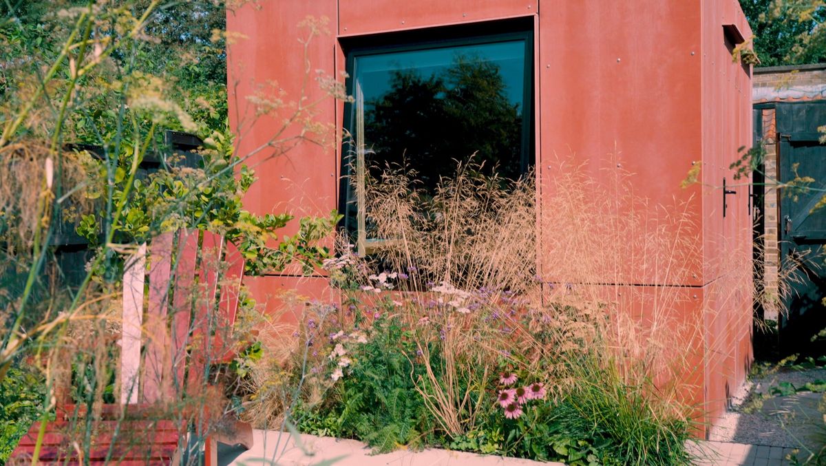 Pink Viroc facade and window behind tall grasses