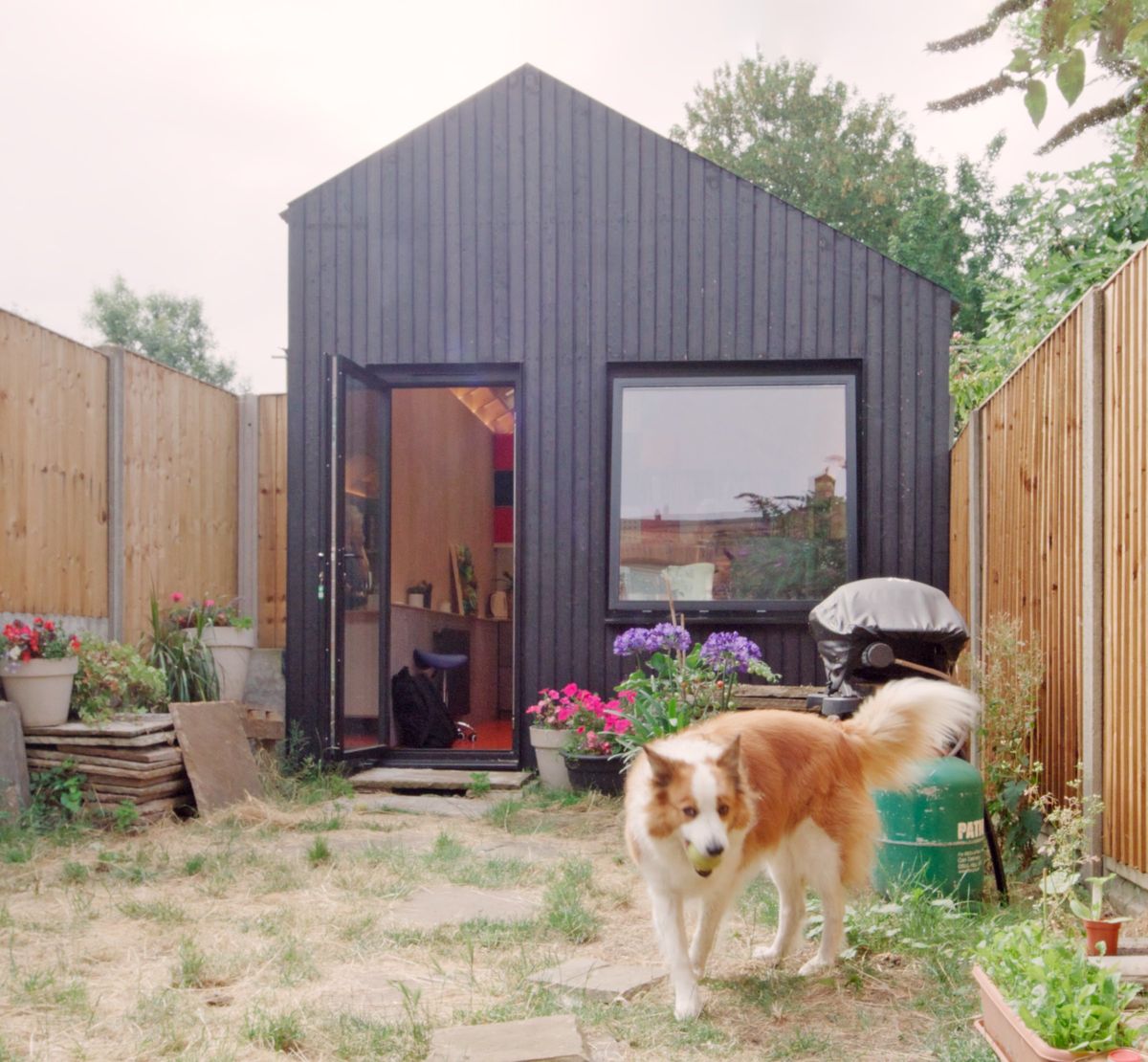 Black gable-roofed artist’s studio, door open, a dog in the garden