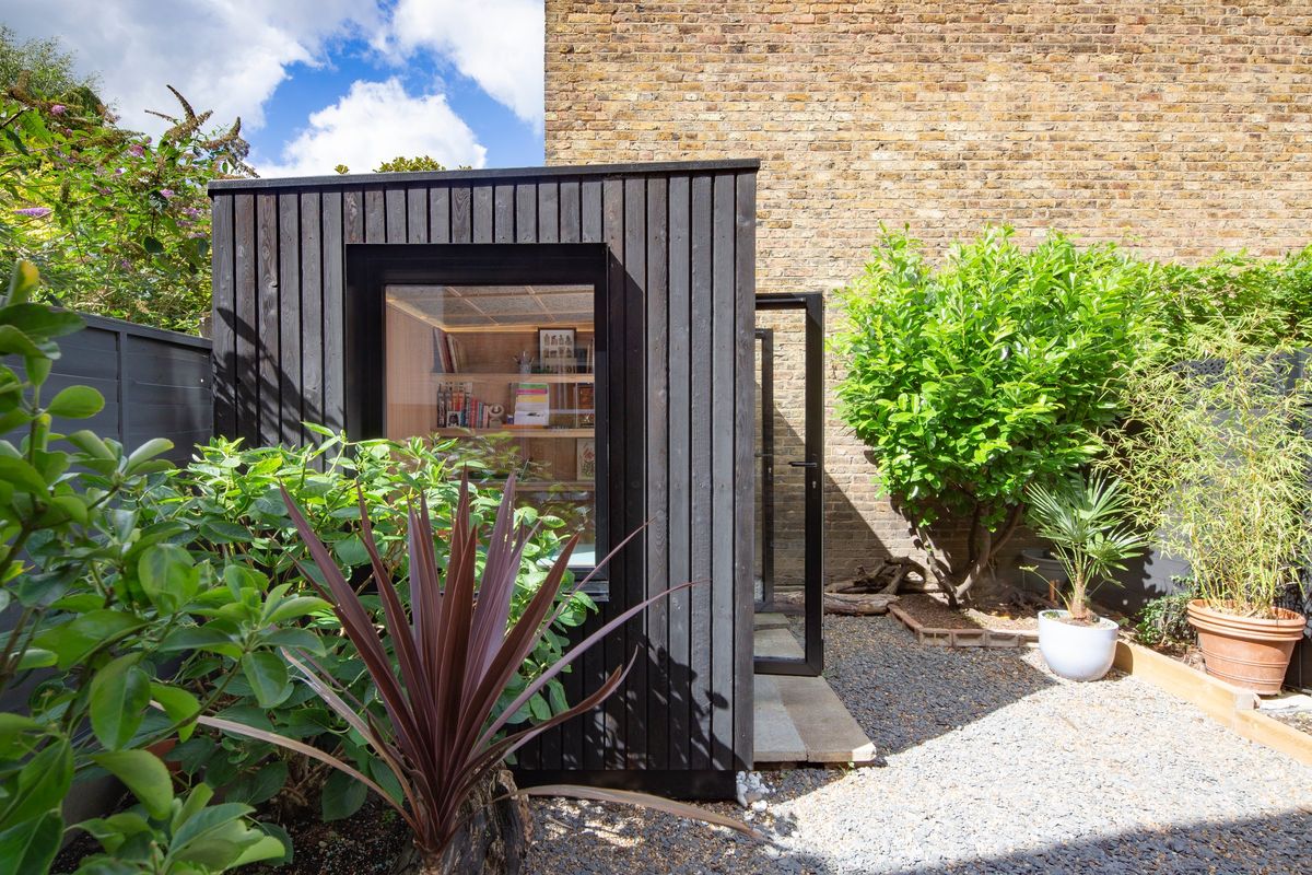 Small charred larch garden room office pod with a large window, among potted plants in a Haringey garden