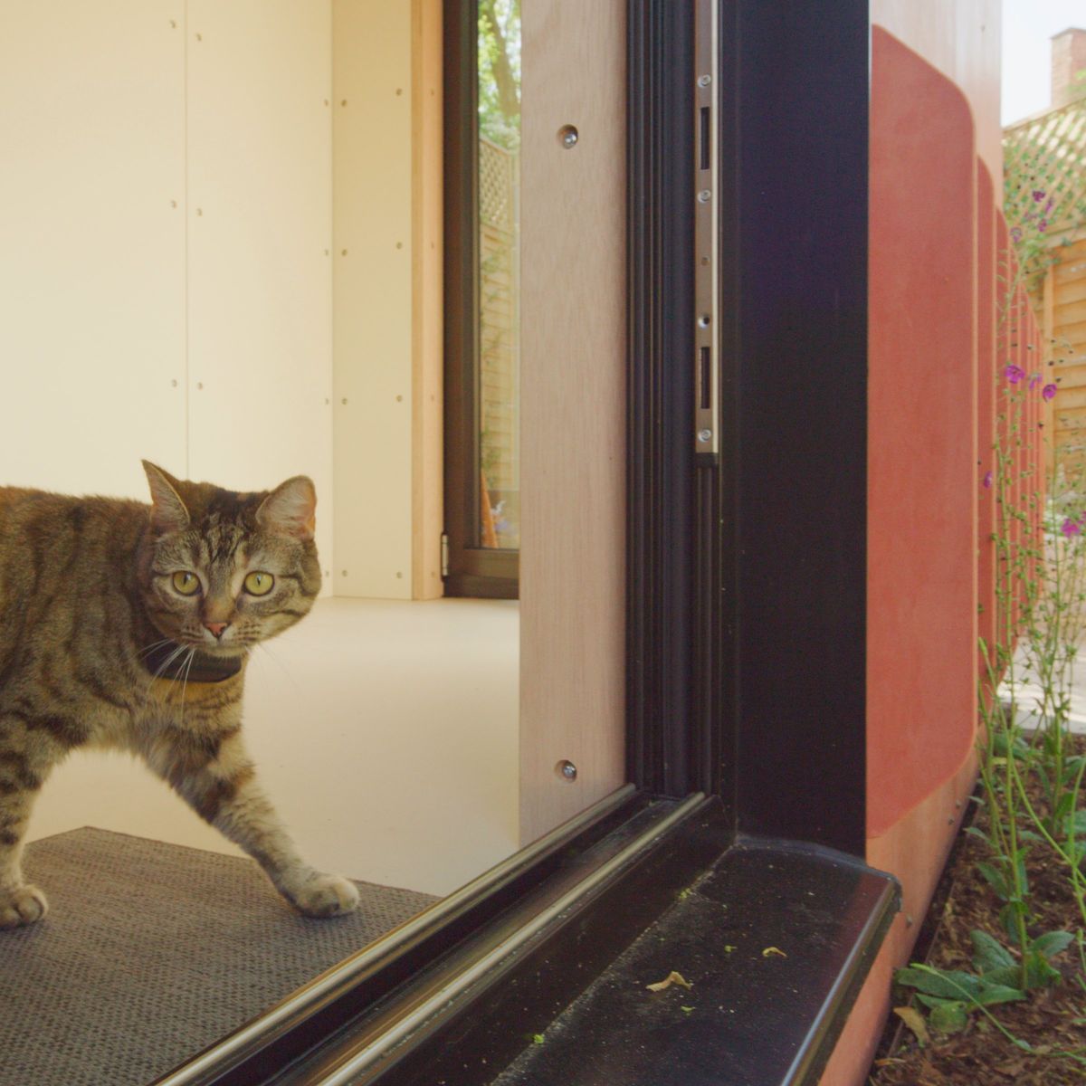 The cat steps in through the open sliding door