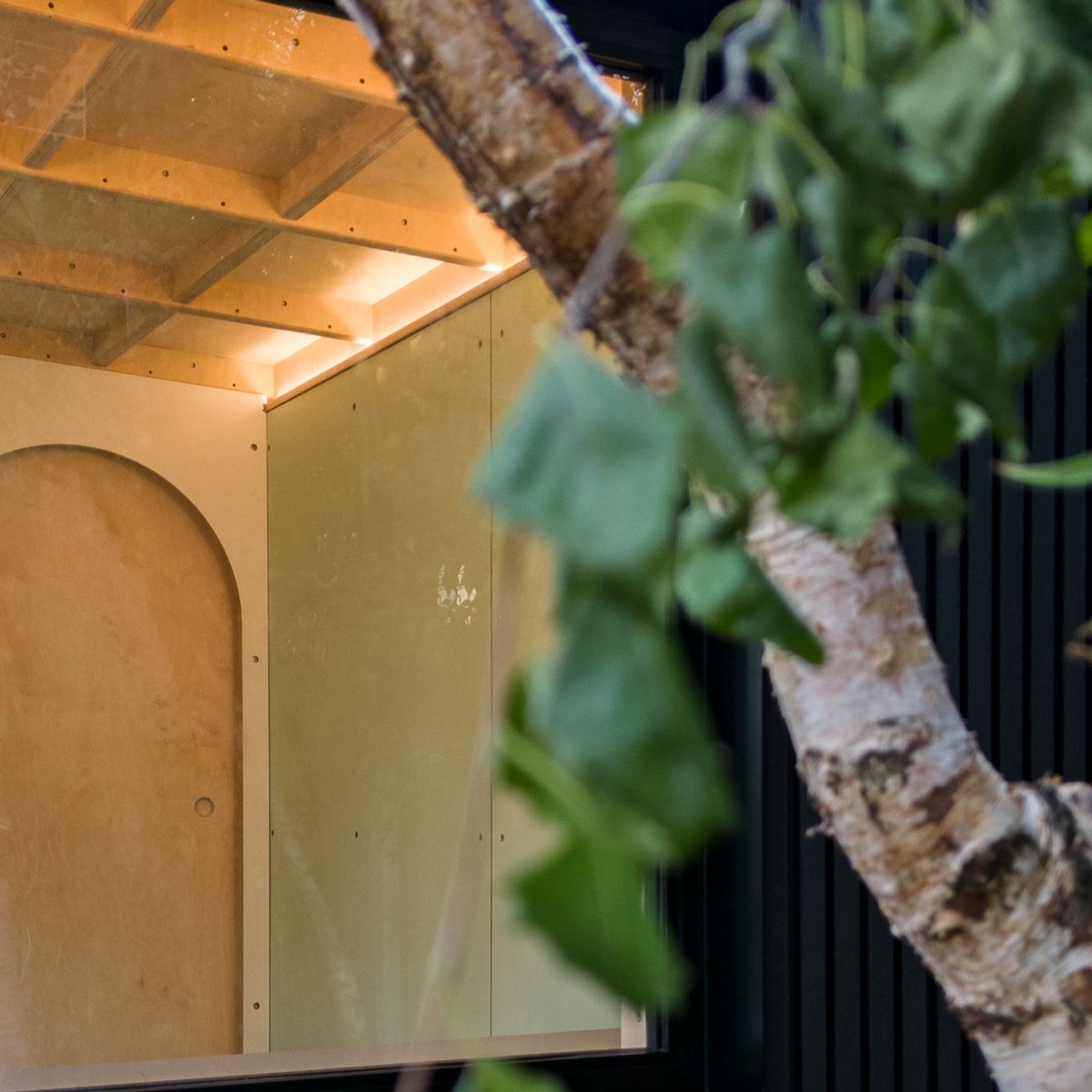 Timber cupboards set behind the wall panels of a garden studio