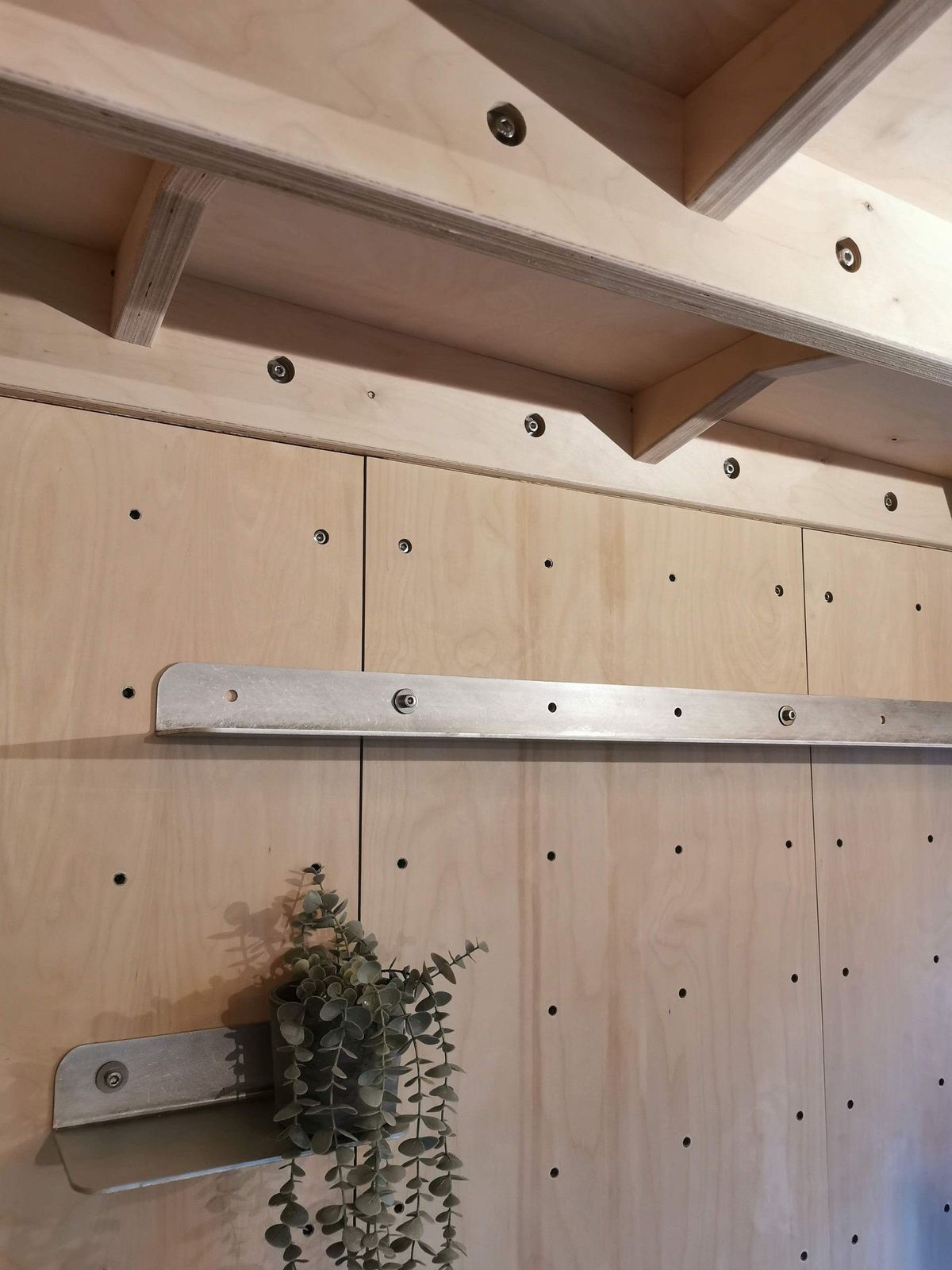 Peg wall with a metal rail and a hanging plant