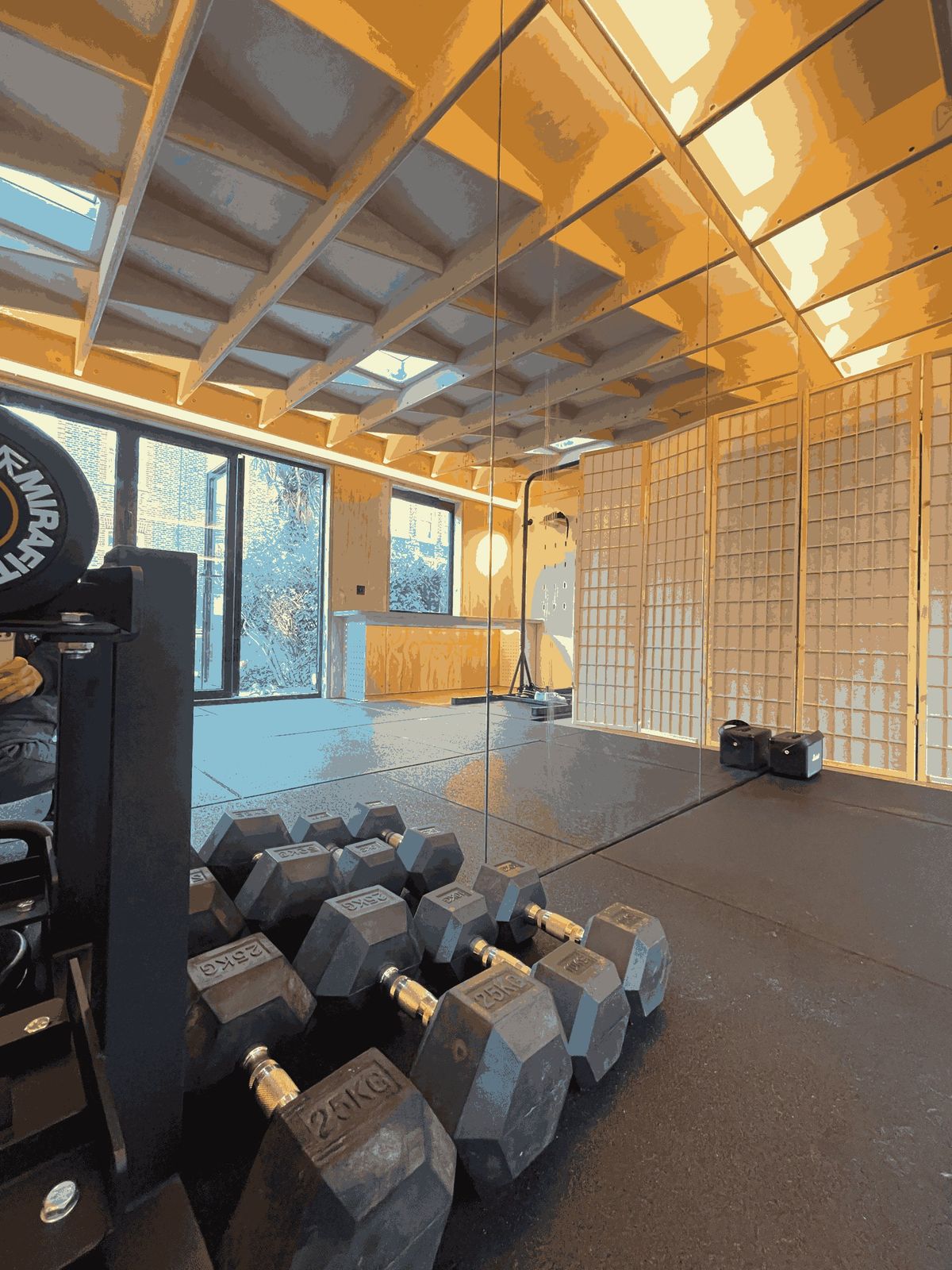 Dumbbells on the rubber floor in front of a full-height mirror